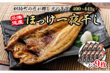 北海道産ほっけ一夜干し（400～449g）×9枚 【発送時期が選べる】 釧路町の匠が贈る 北の至宝 ホッケ 干物 焼魚 焼き魚 白身魚 セット ひもの 魚干物 一人暮らし セット おかず 冷凍 配送月指定 配送時期選べる 配送時期 発送月が選べる 発送月 スピード発送 魚介類 海鮮 絶品 人気 ヒロセ 北海道 釧路町 釧路超 特産品 br02
