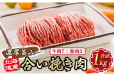 北海道産 合い挽き肉 合計1kg（牛7：豚3） 濃厚旨みひき肉 【発送時期が選べる】挽肉 挽き肉 合挽肉 合挽き肉 豚 肉 豚肉 豚肉ミンチ 合挽豚肉 牛 肉 牛肉 牛肉ミンチ 合挽牛肉 合い挽き 小分け ハンバーグ 冷凍 配送月指定 配送時期 選べる 配送時期 発送月が選べる 発送月 スピード発送 肉 絶品 人気 ヒロセ 北海道 釧路町 釧路超 特産品 br03