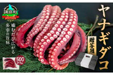 ヤナギダコ500g（贈答用 熨斗付き）【産地直送】プリプリ食感！釧路町昆布森産 ヤナギタコ 柳ダコ 柳タコ 噛むたびに広がる多幸の旨味 お刺身 鍋 煮物に最適 栄養満点 贈答用 贈答品 にも最適 漁師直送 鮮度抜群 蛸 タコ たこ 足 刺身 たこやき たこ唐揚げ 冷凍 魚介類 海鮮 絶品 人気 カネショウ 北海道 釧路町 釧路超 特産品 br02