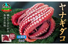 【定期便 3ヶ月連続】ヤナギダコ 500g【産地直送】プリプリ食感！釧路町昆布森産 ヤナギタコ 柳ダコ 柳タコ 噛むたびに広がる多幸の旨味 お刺身 鍋 煮物に最適 栄養満点 贈答用 贈答品 にも最適 漁師直送 鮮度抜群 蛸 タコ たこ 足 刺身 たこやき たこ唐揚げ 冷凍 魚介類 海鮮 絶品 人気 カネショウ 北海道 釧路町 釧路超 特産品 br04