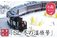 数量限定「SL冬の湿原号」C11 171+14系500番台 6両セット（1/150スケール精密鉄道模型） F4F-7753|北海道 釧路超 釧路町 特産品 br08