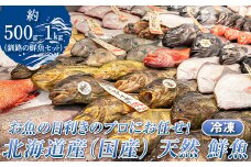 お魚の目利きのプロにお任せ！北海道産（国産） 天然 鮮魚 約500g～1kg（釧路の鮮魚セット）【発送時期が選べる】産地直送 冷凍 冷凍便 刺身 セット 鮮魚セット 鮮魚ボックス 配送月指定 配送時期選べる 配送時期 発送月が選べる 発送月 スピード発送 魚介類 海鮮 絶品 人気 ヒロセ 北海道 釧路町 釧路超 特産品 br02