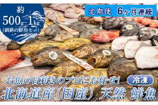 【定期便 ６ケ月連続】 お魚の目利きのプロにお任せ！北海道産（国産） 天然 鮮魚 約500g～1kg（釧路の鮮魚セット） 産地直送 冷凍 冷凍便 刺身 セット 鮮魚セット 鮮魚ボックス 定期便 魚介類 海鮮 絶品 人気 ヒロセ 北海道 釧路町 釧路超 特産品 br04