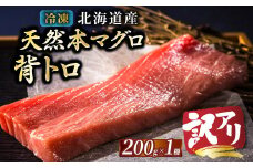 【9月配送】北海道産 天然 本マグロ 背トロ 冷凍 200g × 1柵 （訳あり 筋あり） 国産 鮪 ホンマグロ クロマグロ ネギトロ マグロたたき にもできます マグロステーキ マグロ中トロ 小分け 冷凍 魚介類 海鮮 絶品 高級 配送月指定 配送月を選べる 配送時期 発送月が選べる 発送月 人気 ヒロセ 北海道 釧路町 釧路超 特産品 br02