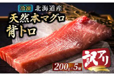 【10月配送】北海道産 天然 本マグロ 背トロ 冷凍 200g × 5柵 計1kg（訳あり 筋あり） 国産 鮪 ホンマグロ クロマグロ ネギトロ マグロたたき にもできます マグロステーキ マグロ中トロ 小分け 冷凍 魚介類 海鮮 絶品 高級 配送月指定 配送月を選べる 配送時期 発送月が選べる 発送月 人気 ヒロセ 北海道 釧路町 釧路超 特産品 br02