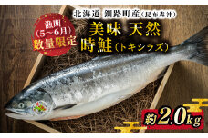 【数量限定】美味 北海道 釧路町産（昆布森沖）天然 時鮭（トキシラズ）姿切り身 約2.0kg｜極上 脂乗り 旨味を急速 冷凍で お届け 時知らず 鮭 北の海の至宝 ふるさとチョイス限定 冷凍 魚介類 海鮮 絶品 人気 カネショウ 北海道 釧路町 釧路超 特産品 br02