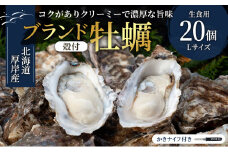 厚岸産　殻付カキLサイズ20個（生食用） [№5863-0292]