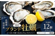 北海道厚岸産 牡蠣 Lサイズ 1ダース（12個入り） 生食用 [№5863-0301]