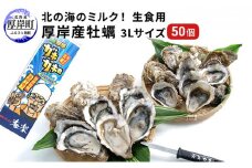 北の海のミルク！厚岸産 牡蠣 3Lサイズが50個！ 生食用 [№5863-0302]