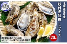 厚岸産 殻付き牡蠣Ｌサイズ20個入(加熱容器付)北海道 牡蠣 カキ かき 生食 生食用 ミルク レンジ [№5863-0305]