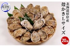 厚岸産　殻かき L20個セット 北海道 牡蠣 カキ かき 生食 生食用 生牡蠣 [№5863-0314]