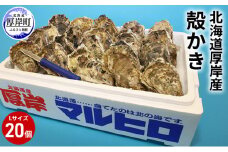 厚岸産 殻かき L20個セット 北海道 牡蠣 カキ かき  生牡蠣 殻付 [№5863-0317]