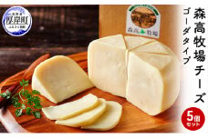 森高牧場 チーズ ゴーダタイプ 5個セット (1個あたり125g,合計625g入り) 北海道 乳製品 チーズ ゴーダチーズ[№5863-0378]