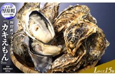 厚岸産ブランドかき カキえもん Lサイズ 15個セット 北海道 牡蠣 カキ かき 生食 生食用 生牡蠣 魚介類  [№5863-0397]