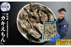 厚岸産 ブランドかき カキえもん LLサイズ 12個  牡蠣 魚介類  [№5863-0398]