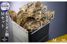 【厚岸漁協直売店特製】 かきガンガン焼 Ｍセット20個  北海道 牡蠣 カキ かき  生牡蠣 殻付  魚介類  [№5863-0400]