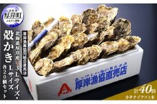 厚岸産 殻かき 3L 20個・L 20個セット (合計40個) 北海道 牡蠣 カキ かき 生食  魚介類  [№5863-0405]