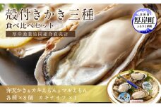 北海道厚岸産【殻かき三種】食べ比べセット 魚貝類 生牡蠣 送料無料 新鮮 濃厚 大粒  [№5863-0434]