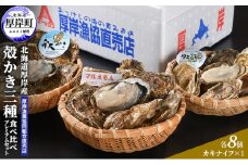 北海道 厚岸産 殻かき 三種 食べ比べ プレミアムセット 牡蠣 魚貝類 生牡蠣 殻付き牡蠣 カキ  [№5863-0435]