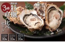 厚岸オイスター★オールスターズ 牡蠣 3種 食べ比べ [№5863-0443]