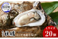 定期便 3ヶ月 北海道 厚岸産 牡蠣 Lサイズ 20個 (各回20個×3ヶ月分,合計60個) 殻付き 生食 カキナイフ付き かき カキ [№5863-0471]