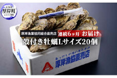 定期便 6ヶ月 北海道 厚岸産 牡蠣 Lサイズ 20個 (各回20個×6ヶ月分,合計120個) 殻付き 生食 カキナイフ付き かき カキ [№5863-0472]