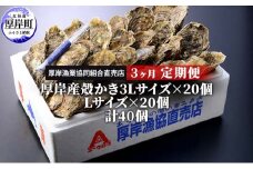 定期便 3ヶ月 北海道 厚岸産 牡蠣 3L 20個 と L 20個 ひと月あたり40個お届け (各回40個×3ヶ月分,合計120個) 殻付き 生食 かき カキ [№5863-0529]