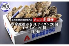 定期便 6ヶ月 北海道 厚岸産 牡蠣 3L 20個 と L 20個 ひと月あたり40個お届け (各回40個×6ヶ月分,合計240個) 殻付き 生食 かき カキ [№5863-0530]