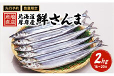 先行予約 産地直送 北海道 厚岸産 刺身用 鮮さんま 2kg（16～20尾） サンマ 秋刀魚 さんま 鮮魚 魚介類 海産 生さんま [№5863-0595]