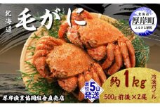 【3D冷凍】 北海道産 冷凍 ボイル 毛がに 500g前後×2尾 (合計1kg前後) 毛カニ 蟹 冷凍ボイル毛がに 毛ガニ カニ かに  [№5863-0597]