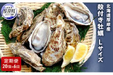 【 6ヶ月 定期便 】厚岸産 殻付き 牡蠣 Ｌサイズ 20個入 (各回20個×6ヶ月分,合計120個) カキナイフ付き 加熱容器付き [№5863-0612]