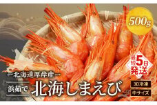 えび 3D冷凍 北海道 厚岸産 浜茹で 北海しまえび 中サイズ 500g (33尾前後) 海鮮 魚介類  [№5863-0634]