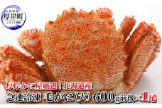 厚岸かに屋厳選！北海道産　急速冷凍 毛がに（大）600g前後×1尾　 [№5863-0642]