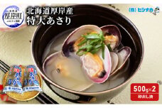 北海道厚岸産 特大 あさり (砂出し済み)  500g ×2袋 (合計約1kg) アサリ 浅利 [№5863-0643]