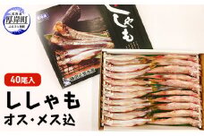 干し ししゃも オス・メス込 40尾入 (オス20尾,メス20尾,合計40尾入り)[№5863-0654]
