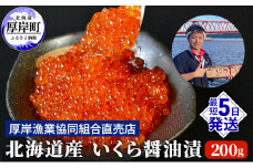 北海道産 いくら 醤油漬け 200g 魚貝類 魚卵 いくら醤油漬け イクラ  [№5863-0664]
