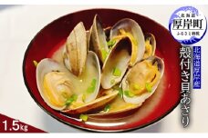 北海道厚岸産　殻付き貝あさり1.5kg [№5863-0783]