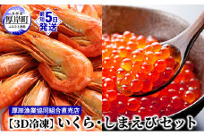 厚岸漁協イチオシ【3D冷凍】いくら・しまえびセット 魚貝類 魚卵 海鮮 海の幸 北海道産 国産 つまみ 肴 お酒 晩酌 あて お供 ご飯 鮮度 風味 高品質 釜茹 熟成 濃厚 旨味  [№5863-0790]