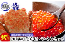 【3D冷凍】『訳あり毛がに』・『いくら』セット 魚貝類 魚卵 大人気 商品 高品質 鮮度 甘味 味噌 濃厚 プチっ 海の幸 贅沢 堪能  [№5863-0794]
