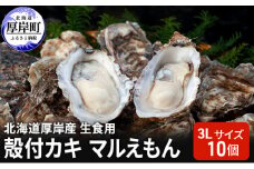北海道厚岸産 生食用　殻付カキ3Lサイズ10個　マルえもん [№5863-0816]