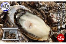 牡蠣 厚岸のブランド牡蠣 マルえもん 3Lサイズ 40個 生食用 [№5863-0837]