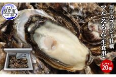牡蠣 厚岸のブランド牡蠣 マルえもん 3Lサイズ 20個 生食用 [№5863-0836]