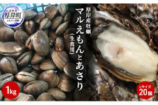 北海道厚岸産牡蠣「マルえもん」Lサイズ20個（生食用）とあさり1kg [№5863-0842]
