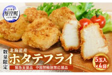 【緊急支援品】【中国禁輸施策応援品】 数量限定 北海道産 ホタテフライ 5玉入×4袋 帆立  ほたて 簡単 おかず [№5863-0861]