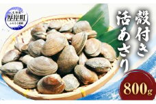 北海道 厚岸産 砂出し済み 活殻付き あさり 800g  新鮮 美味しい アサリ [№5863-0869]