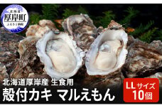 北海道 厚岸産 生食用 殻付カキ LLサイズ 10個 マルえもん 牡蠣 [№5863-0889]