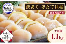 【 お中元専用 】 北海道 訳あり 冷凍 帆立 貝柱 1.1kg ホタテ ほたて 玉冷 [№5863-0908]
