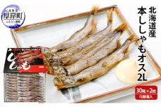 北海道産 本ししゃも オス2Lサイズ 30尾×2枚 化粧箱入 (合計60尾入り)[№5863-0914]