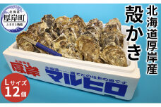 厚岸産 殻かき L12個セット 北海道 牡蠣 カキ かき  生牡蠣 殻付[№5863-0916]