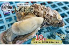 北海道 厚岸産 大鷲牡蠣 10個 カキ 牡蠣 殻牡蠣[№5863-0942]
